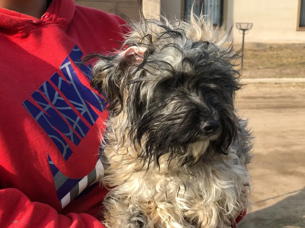 WhatsApp Image 2024-09-24 at 10.40.29 (1)