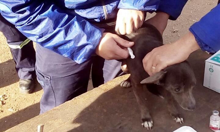 multimedia.normal.a1d7db0e0c87a093.766163756e6163696f6e5f6e6f726d616c2e6a7067