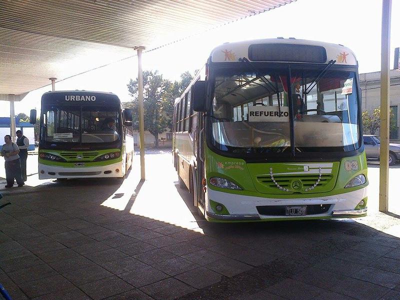 colectivo verde