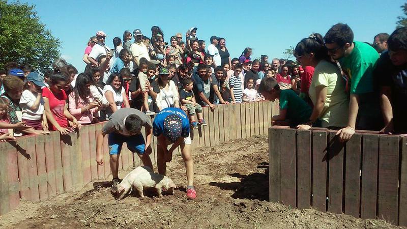 multimedia.normal.a11dec4f02a5610e.636172726572612031345f6e6f726d616c2e6a7067