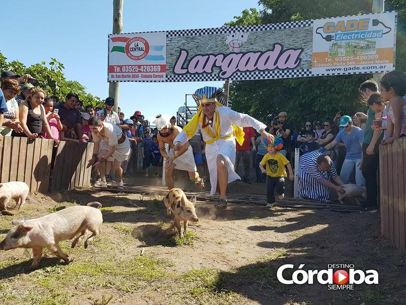 14666285_1820854611459532_6032308748004767976_n