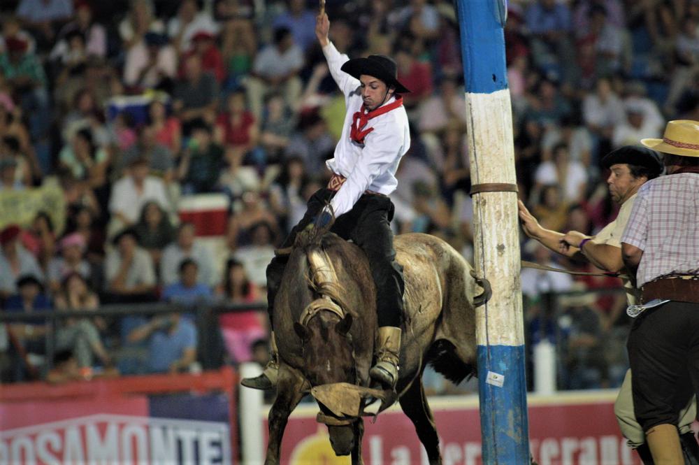 Jineteada ilustracion 2