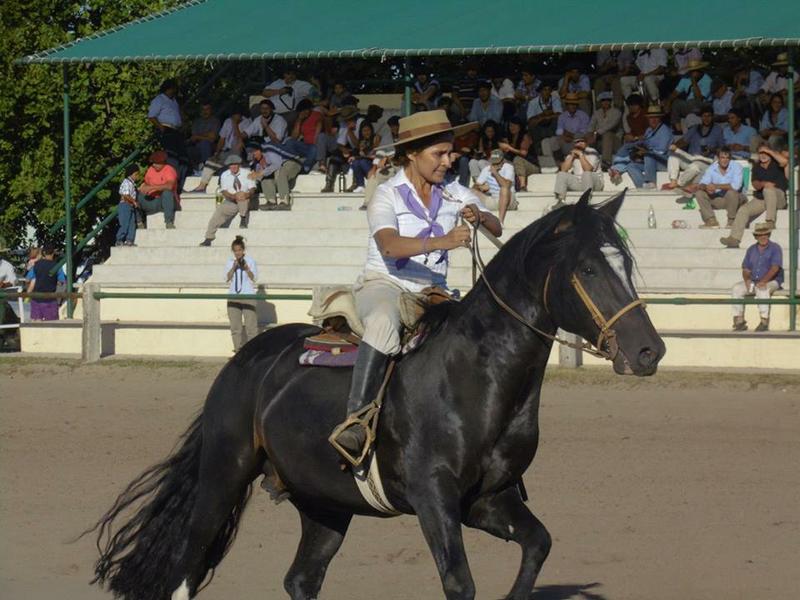 caballos5