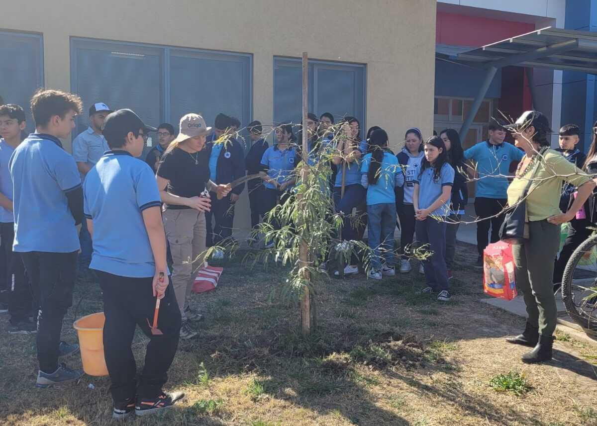 WhatsApp Image 2024-08-18 at 21.14.58 (1)