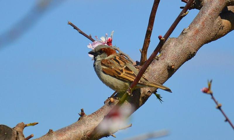 12036724_935664899828781_5966530681062599724_n