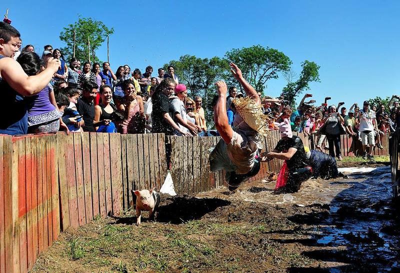 14705830_1775979385974446_8873469582351396945_n