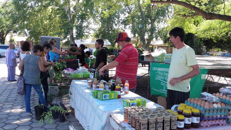 feria agroecologica
