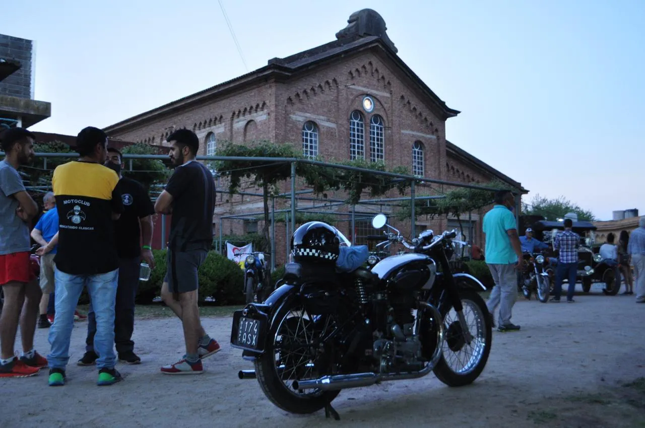 WhatsApp Image 2025-11-19 at 12.03.13