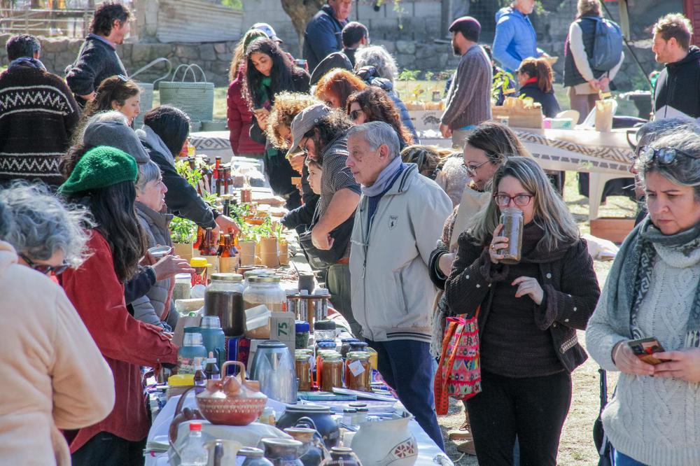 WhatsApp Image 2024-07-15 at 08.02.53