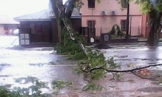 10534665_1690233854592250_5544995888664585328_n