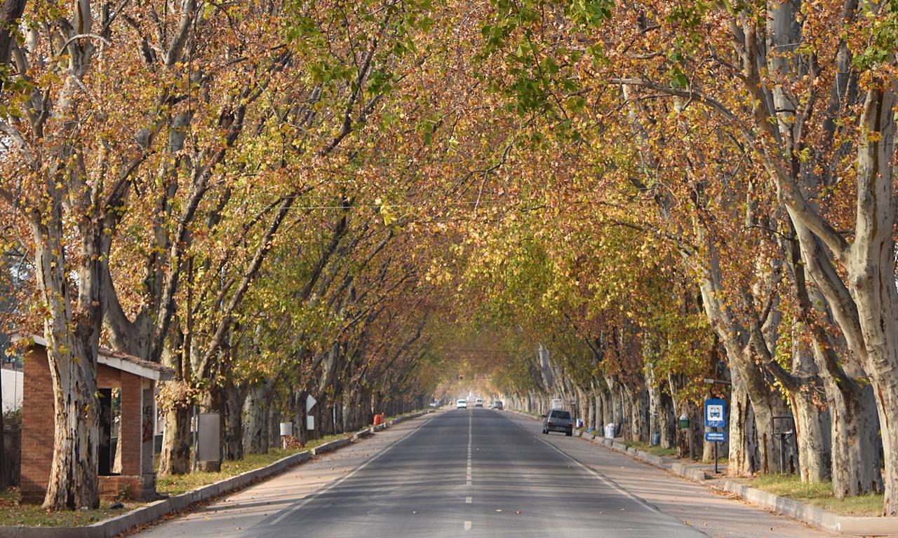 Avenida