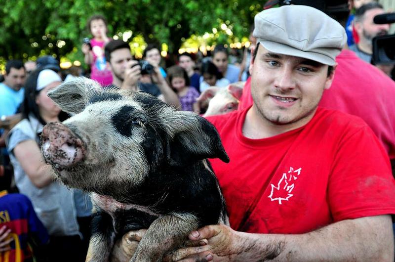 14731324_1775978085974576_6323787297662751504_n