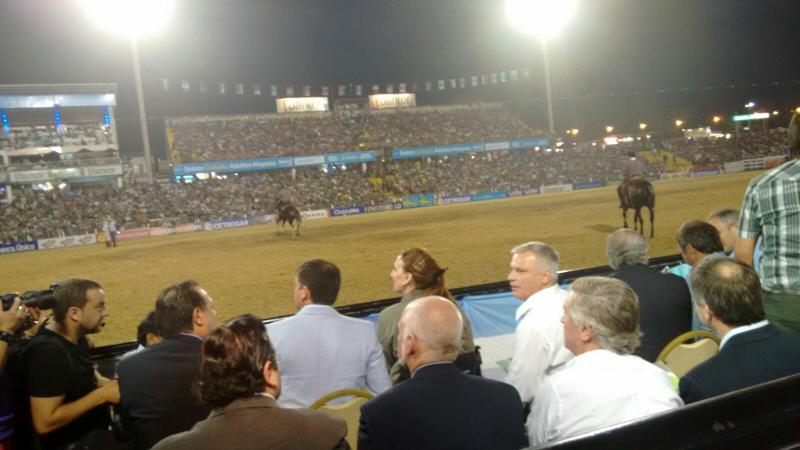 AsYnDr8wxnBWLYOraCcY8YfCVW7I5-47UUVwhb0164Vp