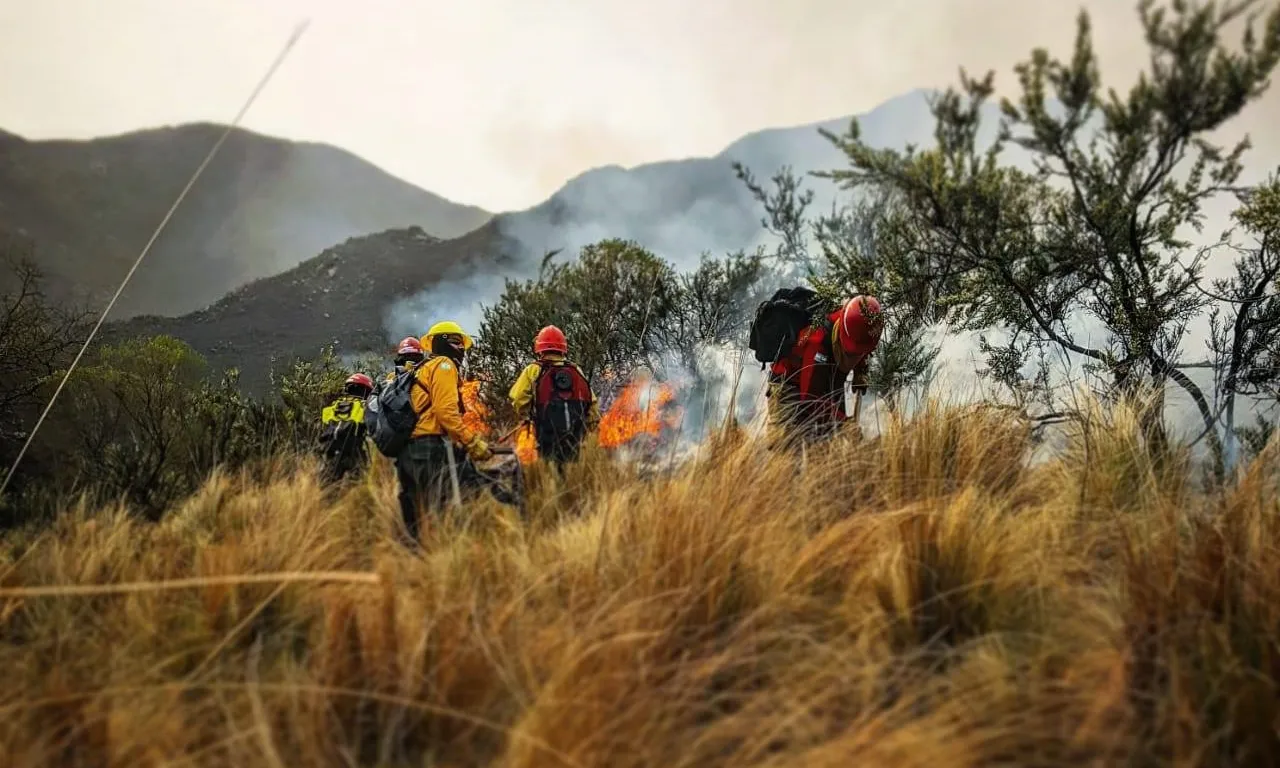 Incendio1