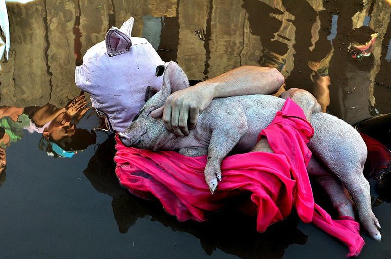 14724373_1775978429307875_1986377721614090481_n