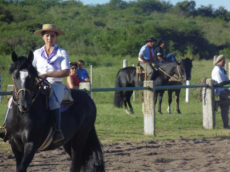 caballos1