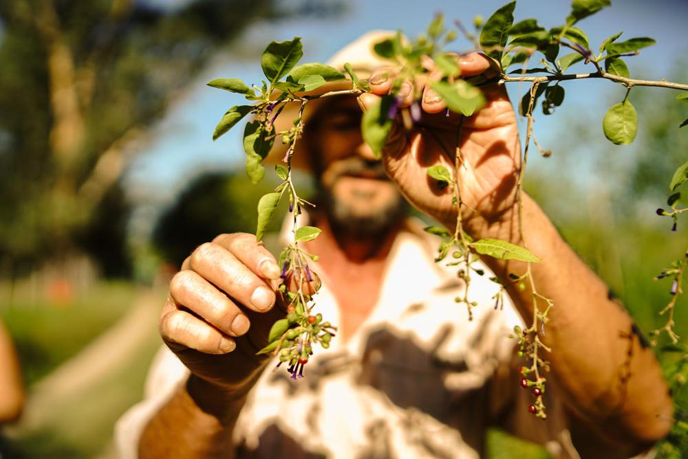 331061547_1694558437729108_137073500465865493_n