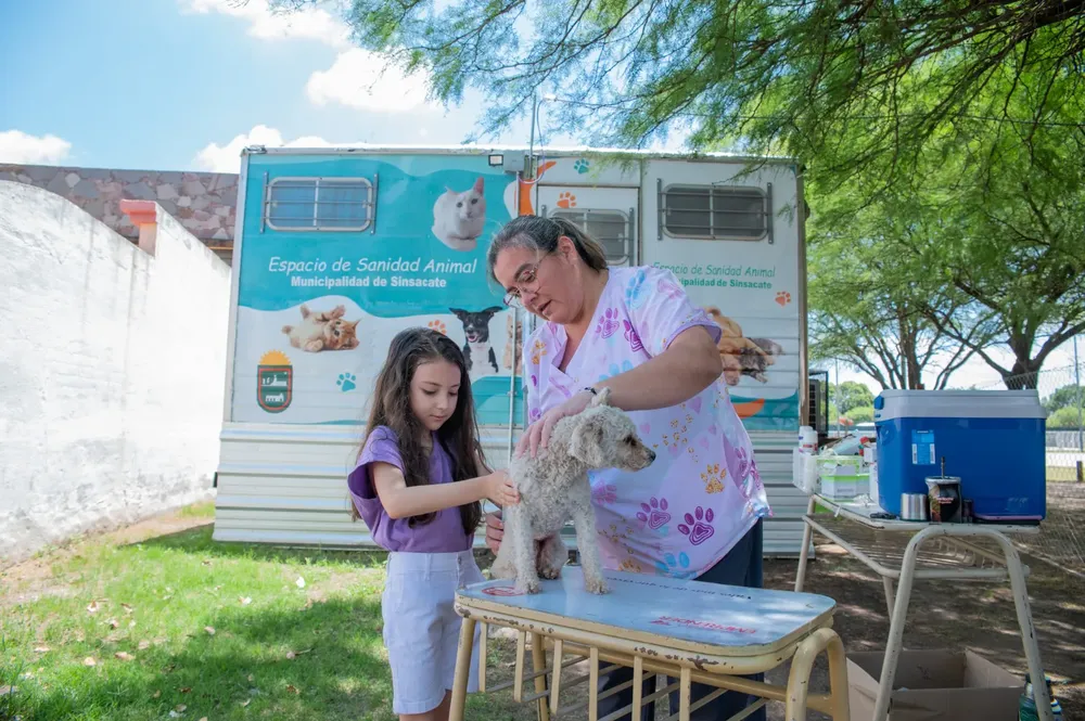 WhatsApp Image 2024-11-26 at 09.54.59