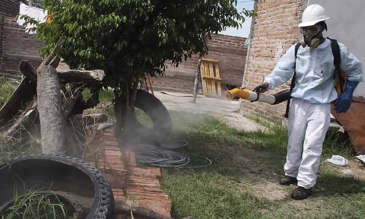 dengue2