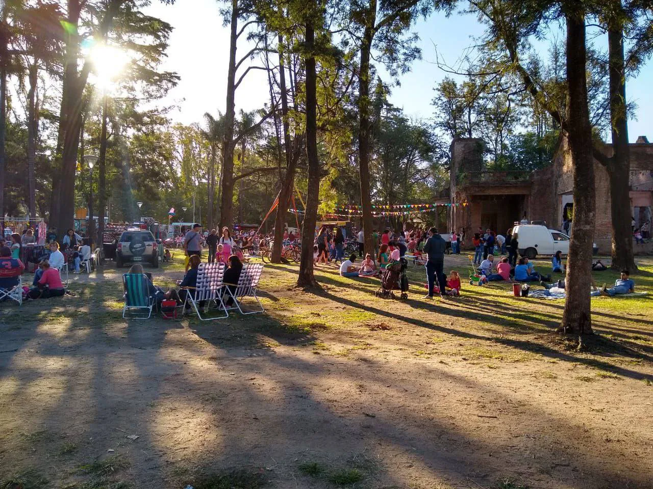 photo_5001375715979012853_y