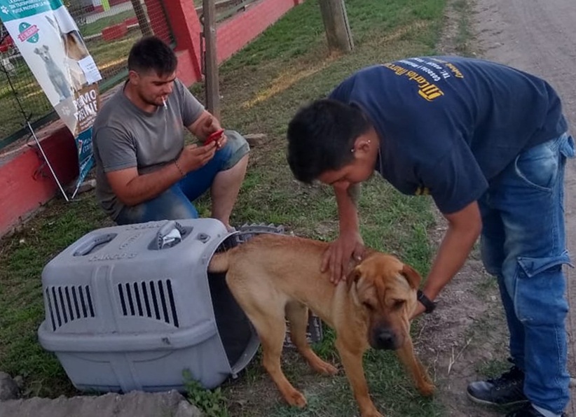 WhatsApp Image 2019-11-03 at 20.19.02