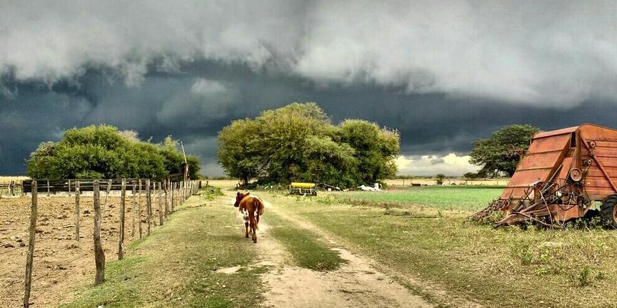 tormenta