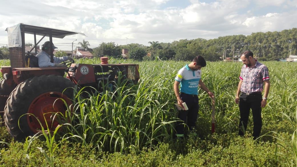 multimedia.normal.bc07621c76f07d88.6465736d616c657a61646f5f6e6f726d616c2e6a7067