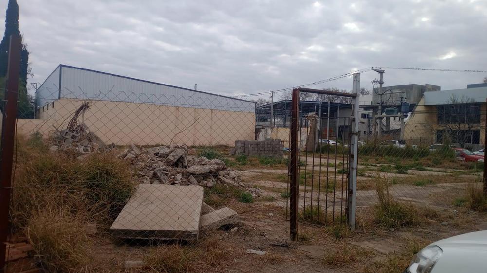 WhatsApp Image 2024-07-04 at 11.47.53