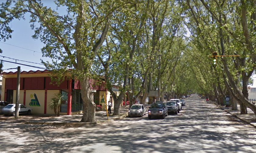 lote xiii