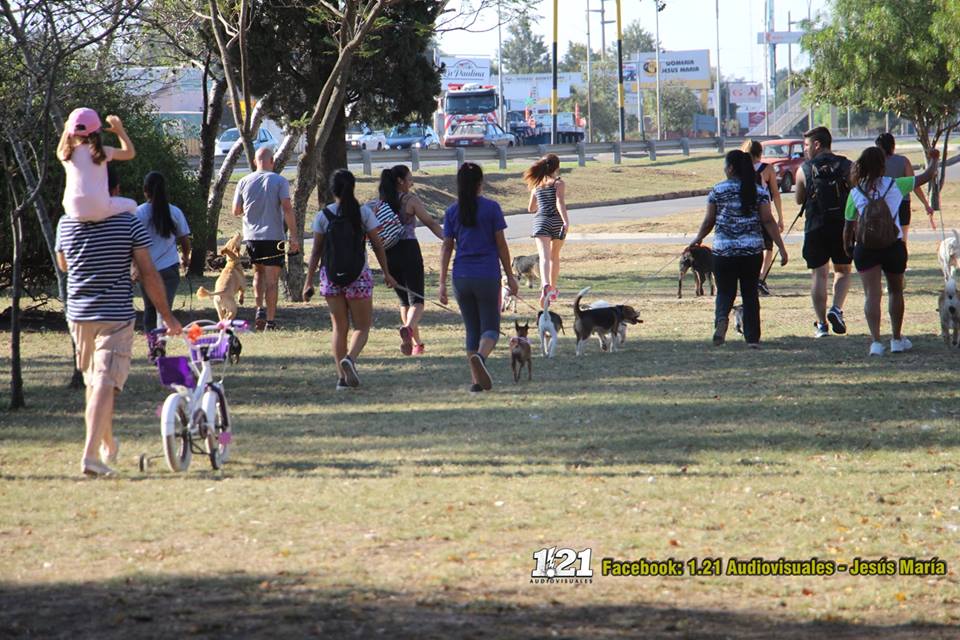 caminata perruna 3