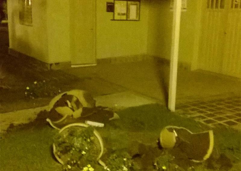 vandalismo en la florida