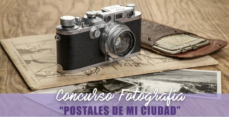 concurso fotografico sinsacate
