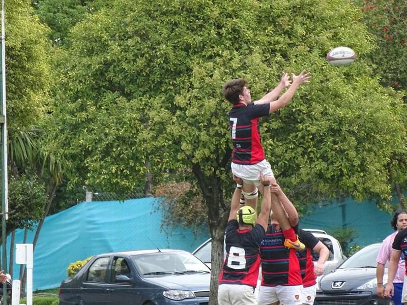 Baguales en Buenos Aires 4