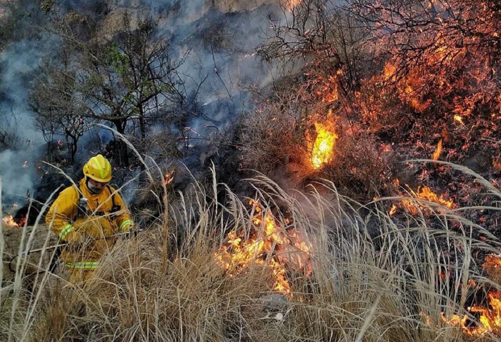 incendio ongamira