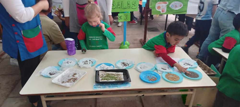 WhatsApp Image 2024-08-05 at 01.05.38