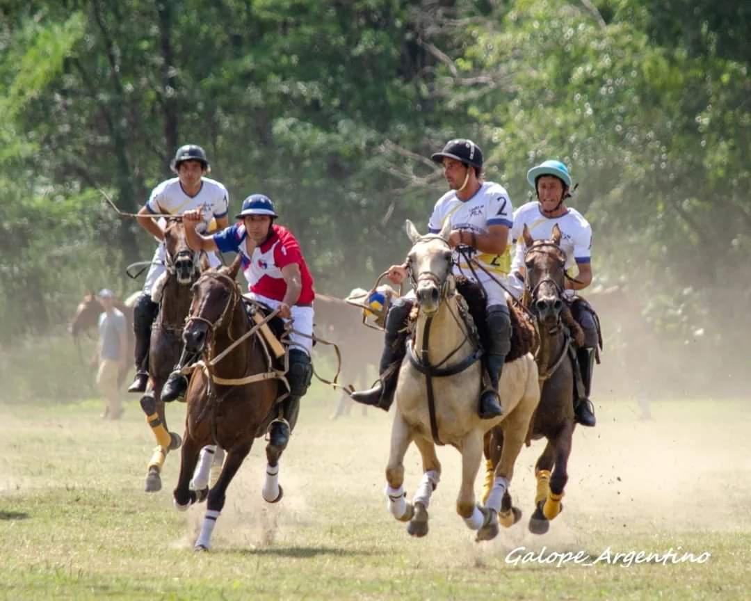 WhatsApp Image 2024-02-28 at 07.31.28