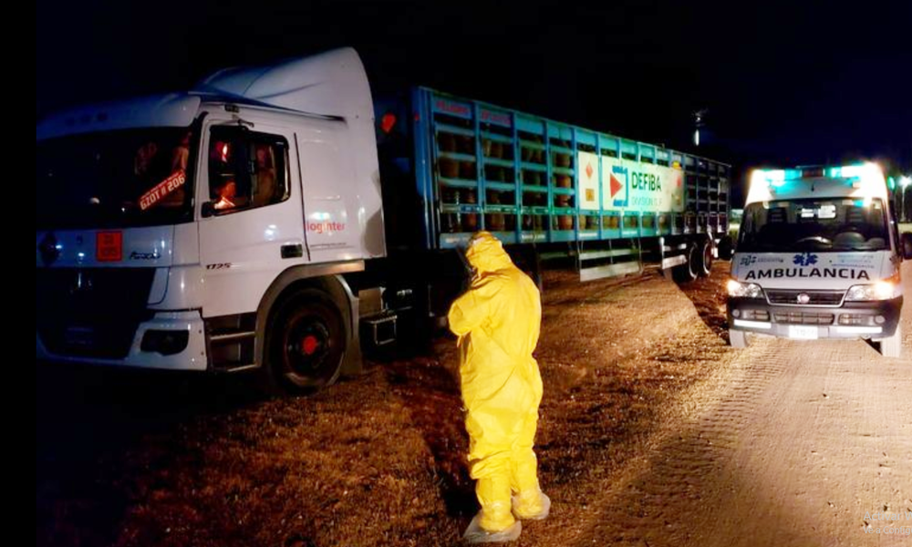 camionero