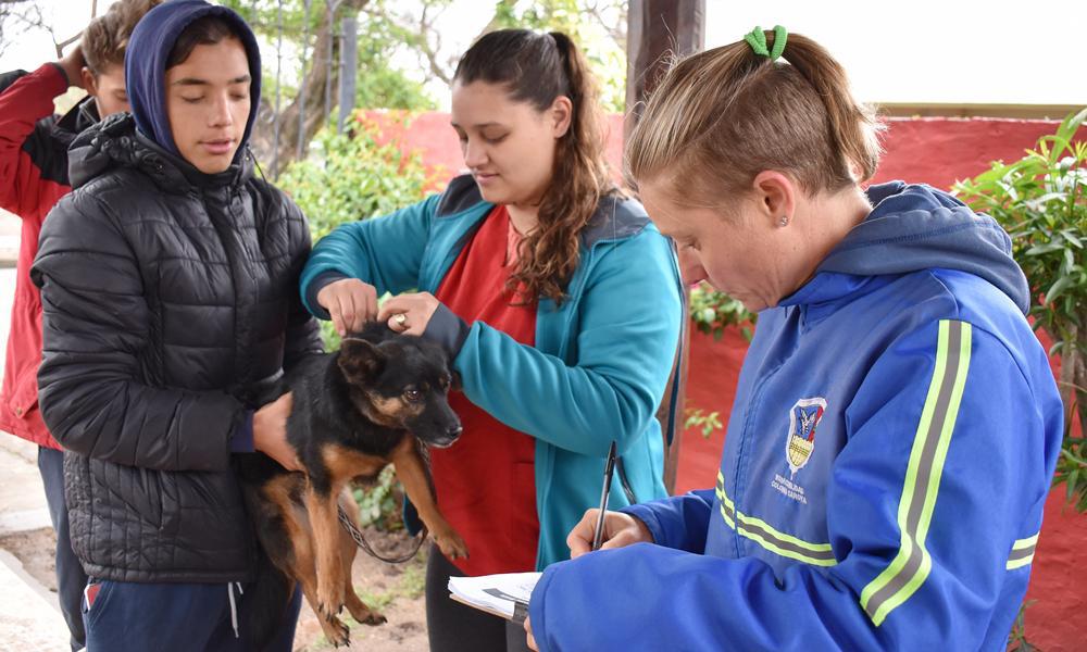 vacunacion perros