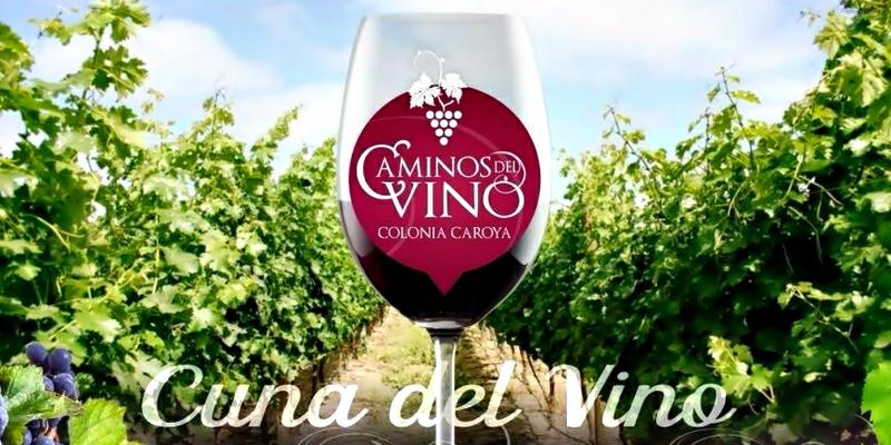 caminos del vino