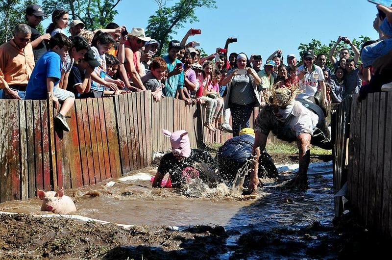 14717287_1775980452641006_1555779742197360324_n