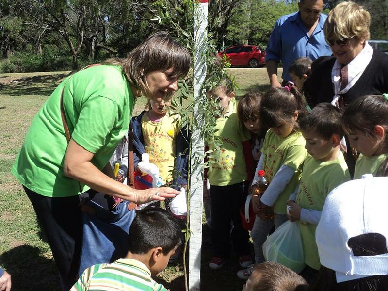 plantando árboles