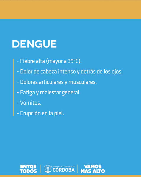 dengue1