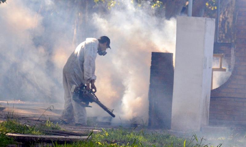 dengue