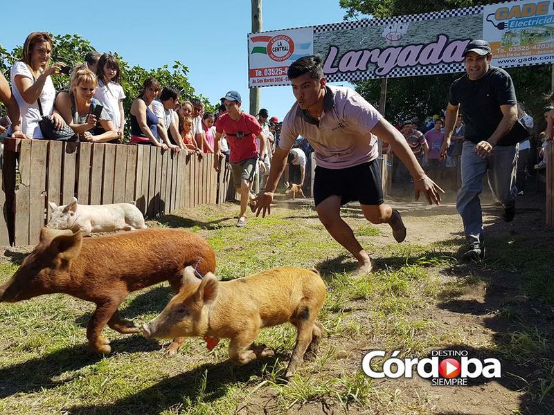 14666177_1820854161459577_3515811052801495153_n