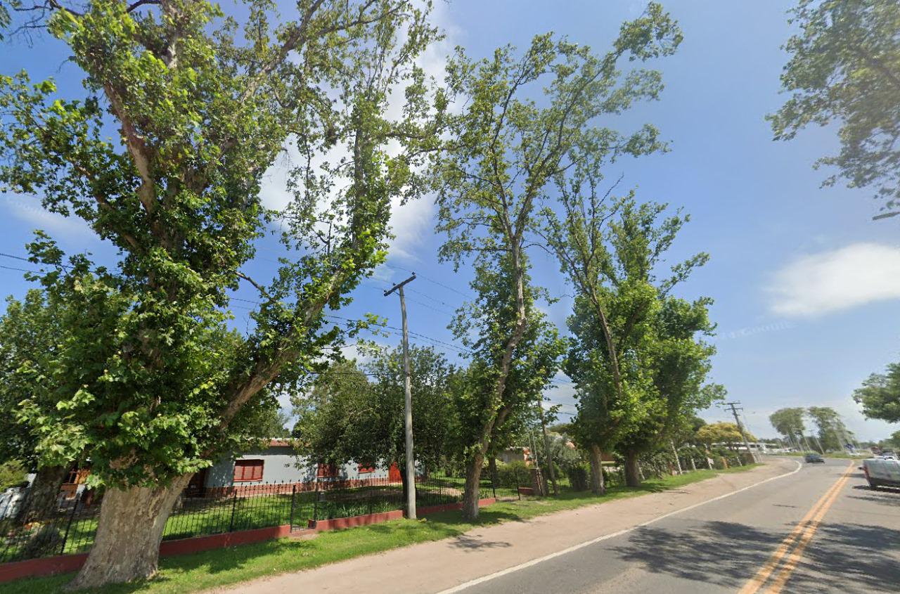 WhatsApp Image 2024-02-15 at 10.51.24