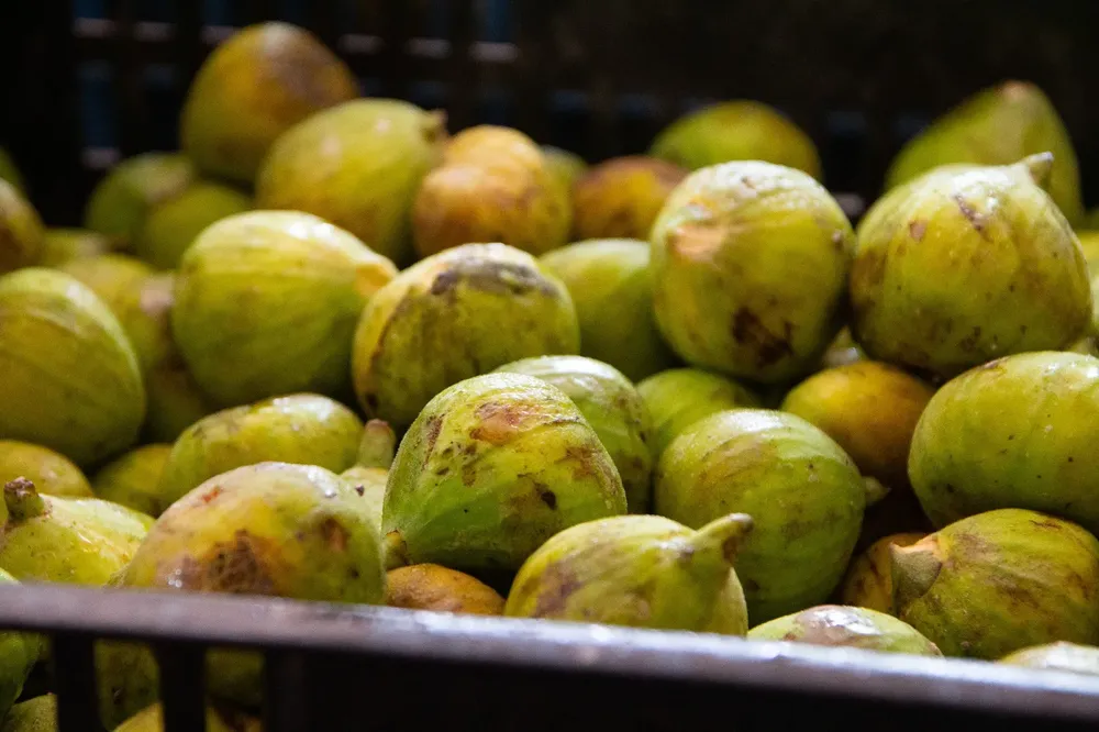 WhatsApp Image 2026-02-04 at 12.54.49(1)