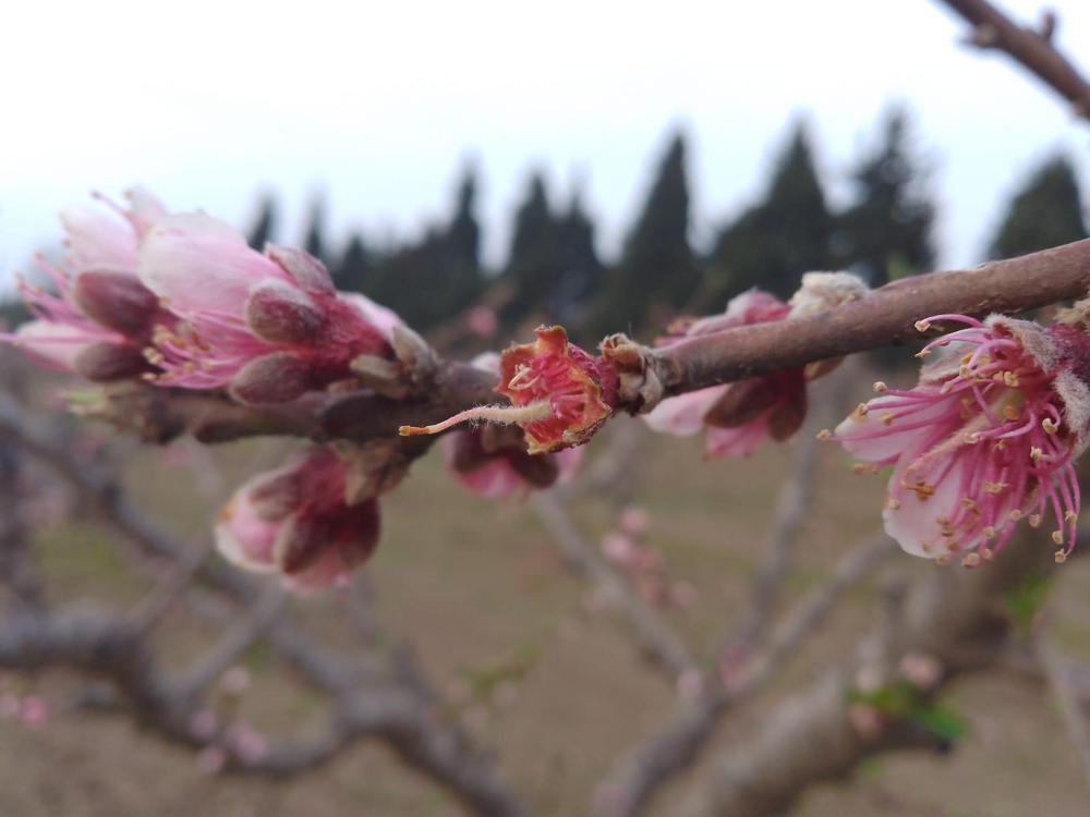 WhatsApp Image 2024-08-01 at 08.38.34