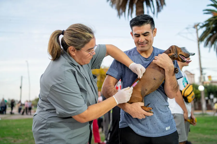 section_jesus-maria-vacunacion-de-mascotas-01-9965 (1)