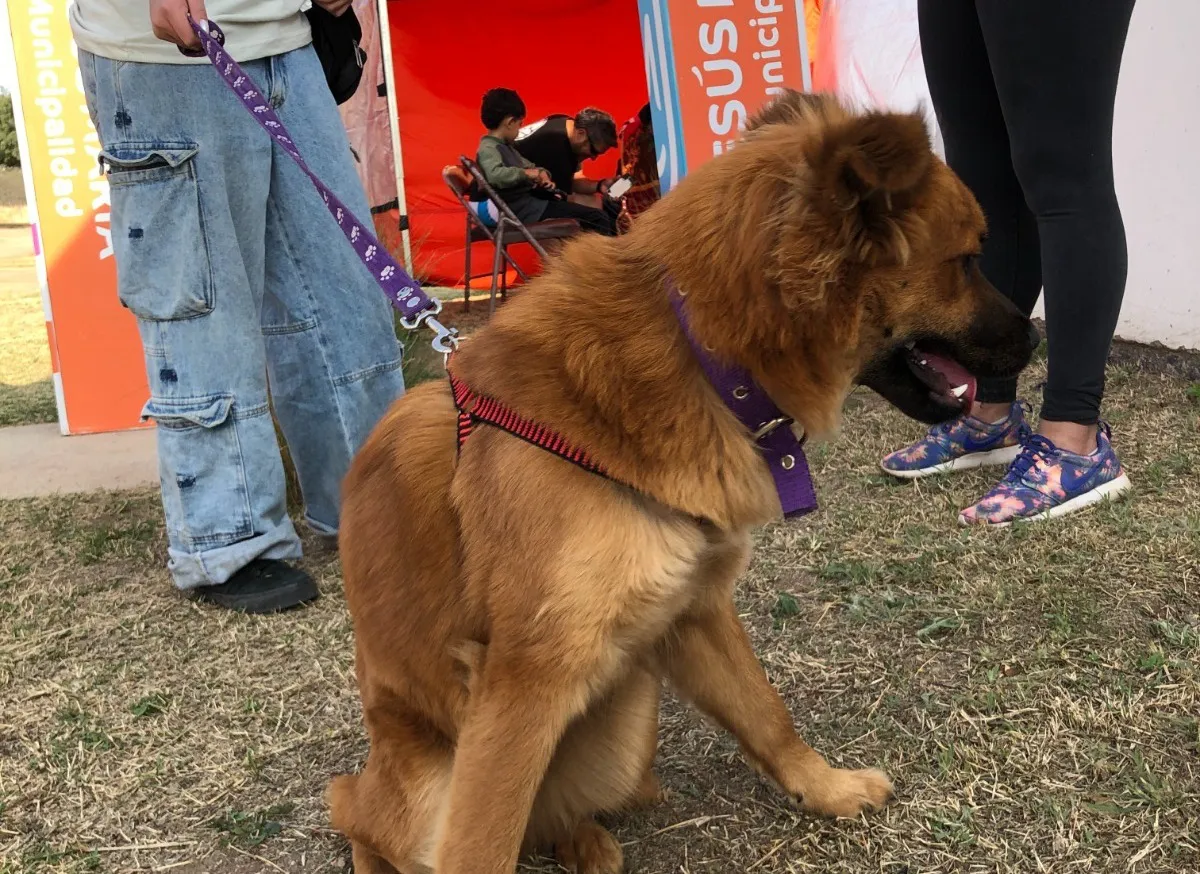 WhatsApp Image 2024-09-25 at 10.00.11