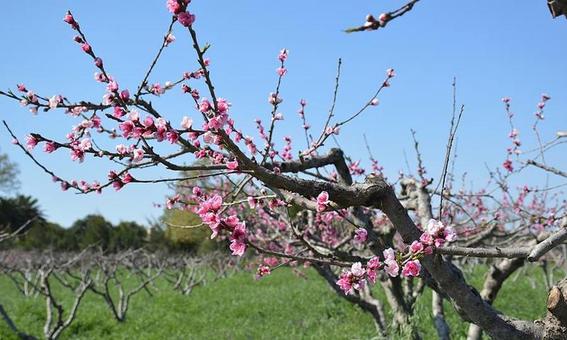 12002894_935665206495417_490620846415016348_n